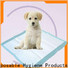 Best puppy training pad jxpp1001 Supply for puppy